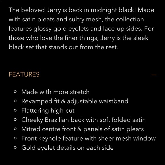 Honey Birdette JERRY Bra and Sexy Brief 36DD Medium NWT - Picture 3 of 4